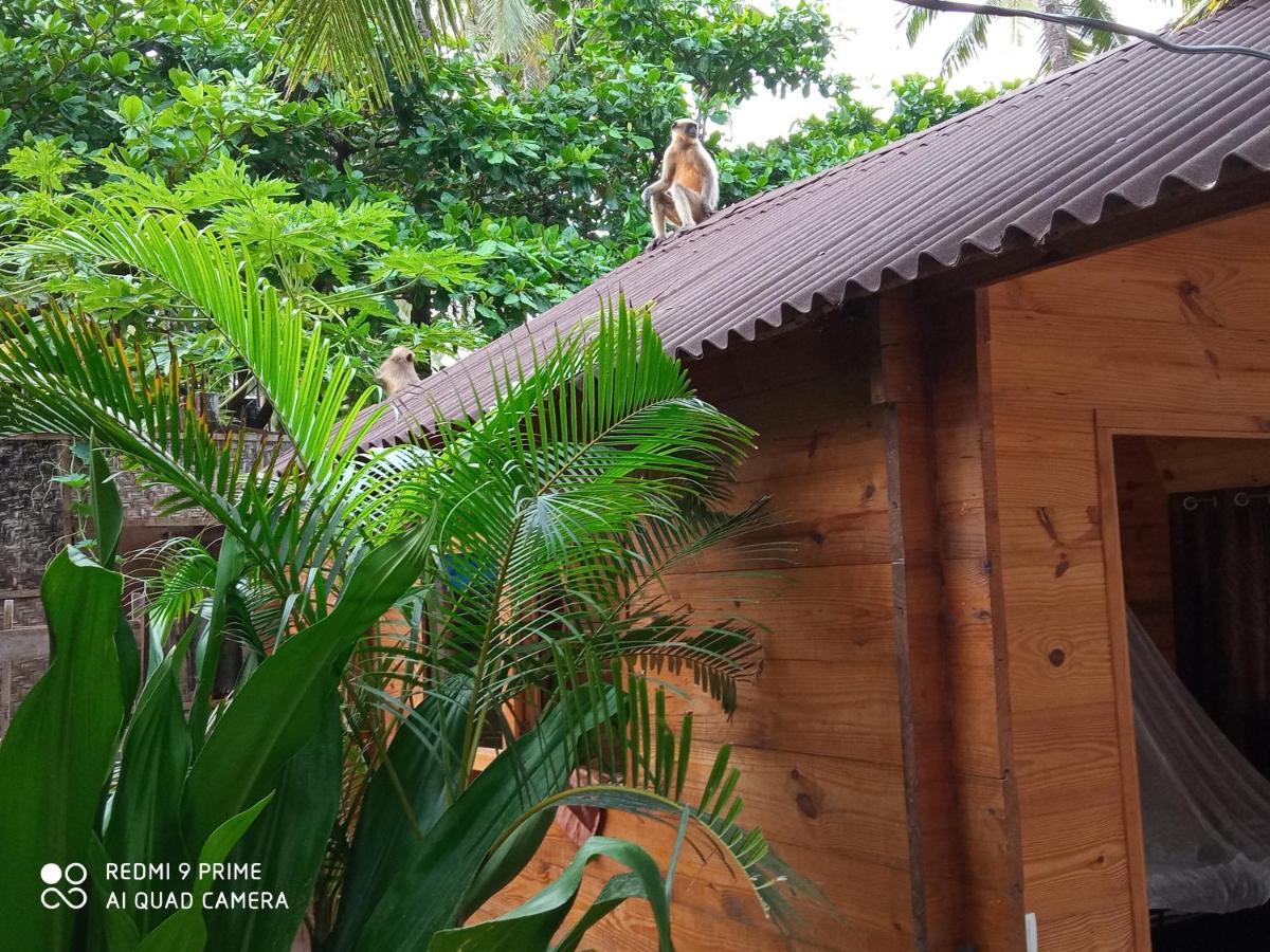 Hotel Magic World à Palolem Extérieur photo