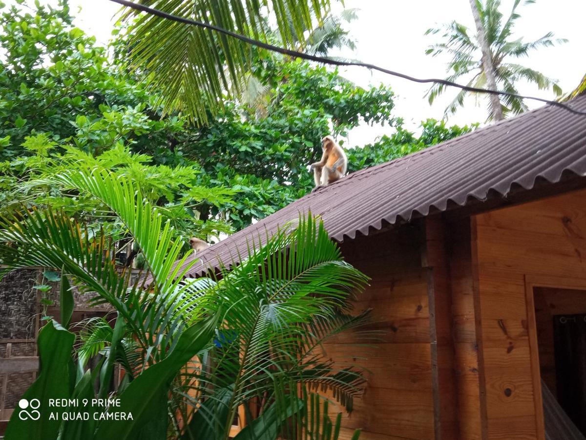 Hotel Magic World à Palolem Extérieur photo